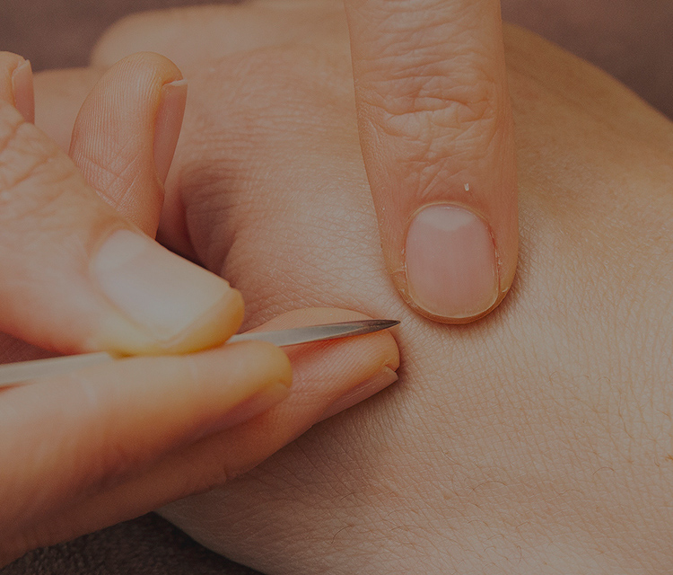 にしかわ逍遙堂